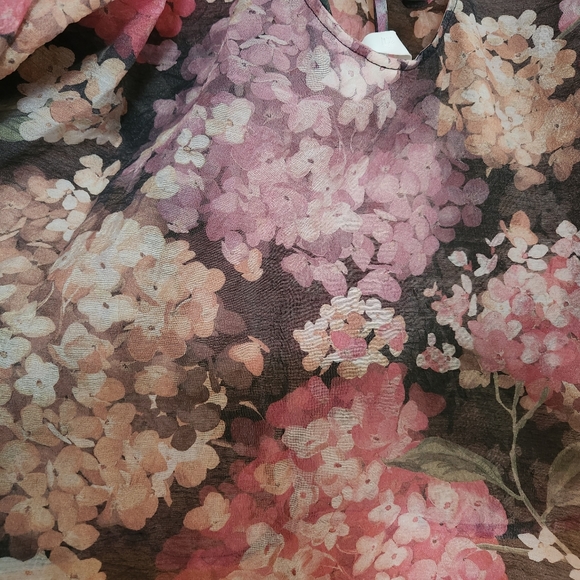 Sheer Hydragraga puff sleeve top - Picture 3 of 6